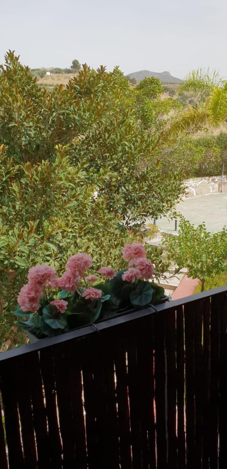 Hotel Cortijo De Salia Alcaucin Phòng bức ảnh